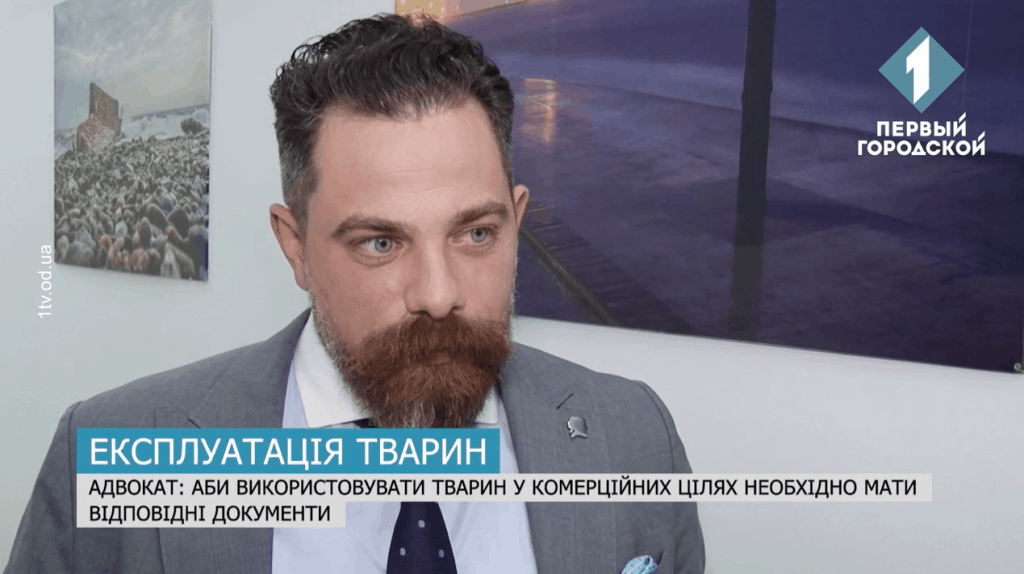 Коментар партнера, адвоката АО «BARRISTERS» Дениса Пономаренко на тему : «Експлуатація тварин»